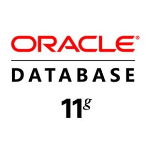 Oracle ݿ Oracle 11G/12C ҵ  ԭ  1Processor